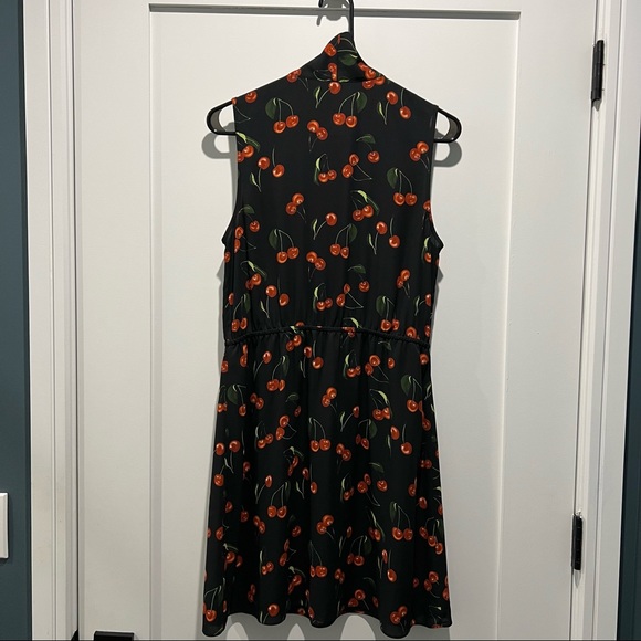 Aritzia | Sunday Best Cherry Skater Dress - Picture 4 of 5